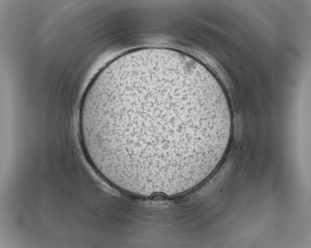 X0000113021432200909241626