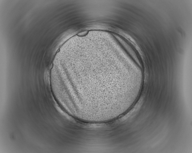 X0000113021433200909241626