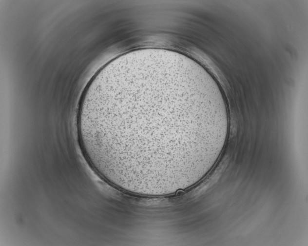 X0000113021434200909241626