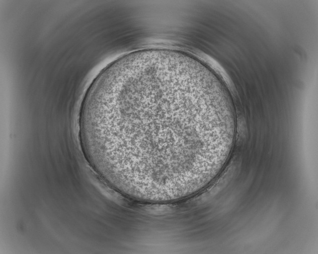 X0000113021435200909241626