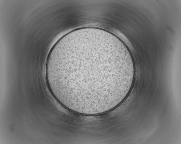 X0000113021436200909241626