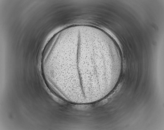 X0000113021437200909241626