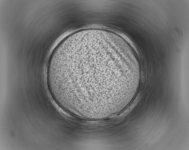 X0000113021438200909241626