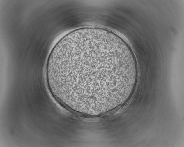 X0000113021440200909241626