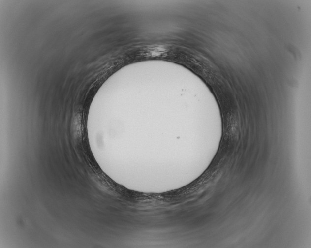 X0000113021442200909241625