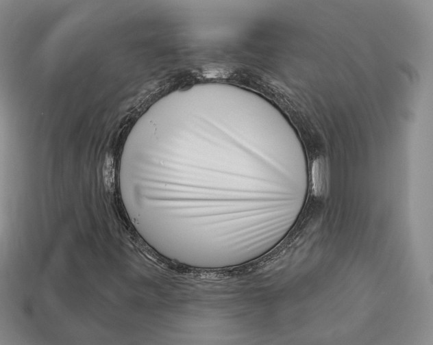 X0000113021443200909241625