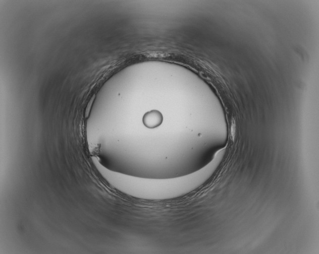 X0000113021444200909241625