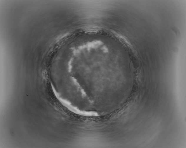 X0000113021445200909241625