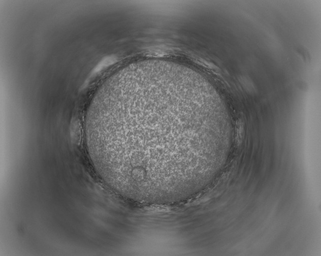 X0000113021446200909241625