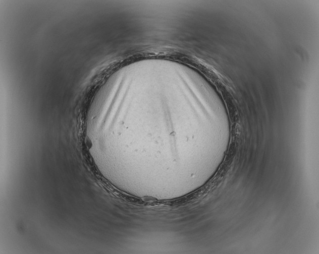 X0000113021447200909241625