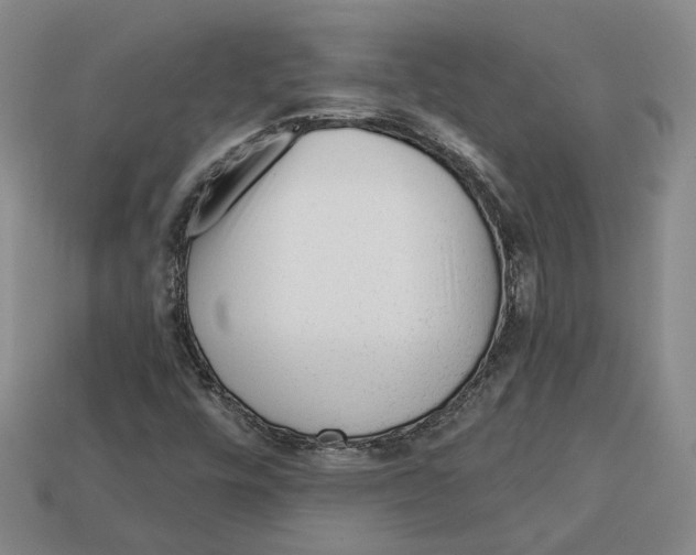 X0000113021448200909241625