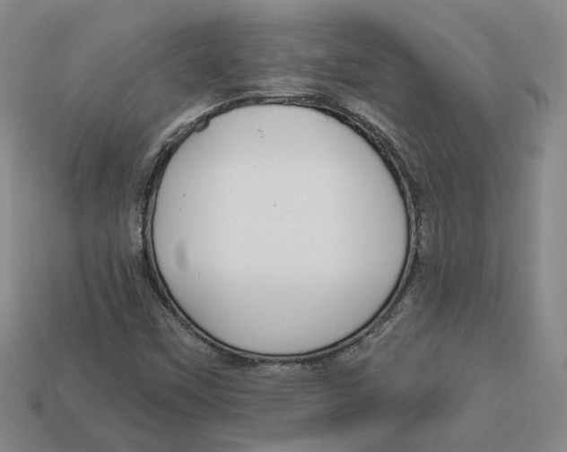 X0000113021451200909241625