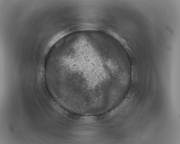 X0000113021453200909241625