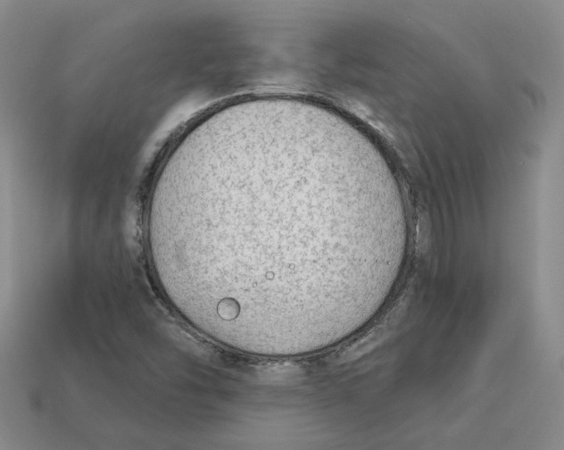 X0000113021454200909241625