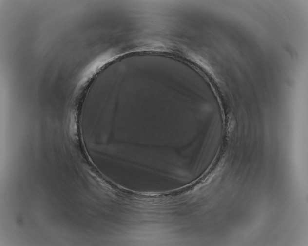 X0000113021455200909241625