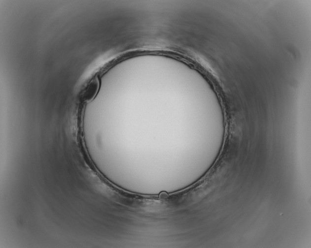 X0000113021456200909241625