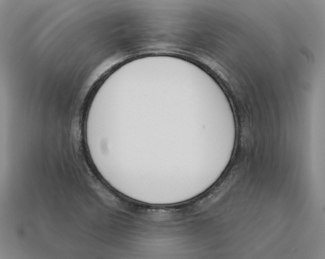 X0000113021458200909241625