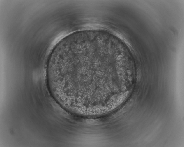 X0000113021459200909241625