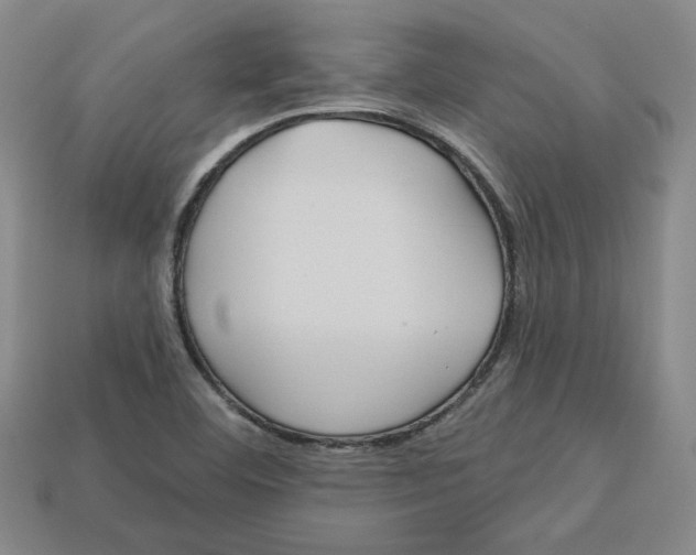 X0000113021460200909241625