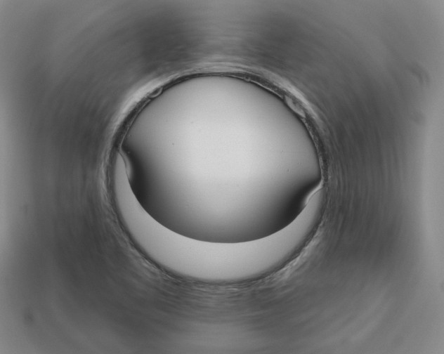 X0000113021461200909241625