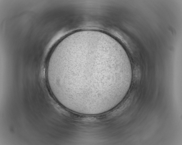 X0000113021462200909241625