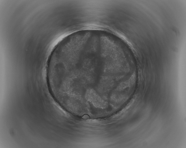 X0000113021463200909241625