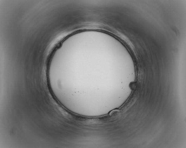 X0000113021464200909241625