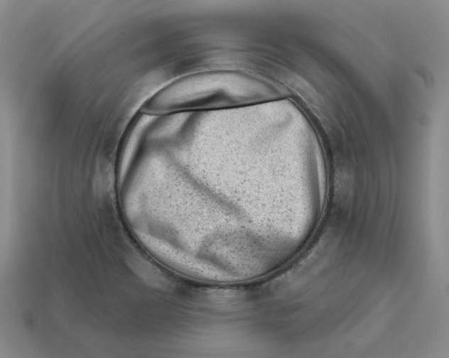 X0000113021465200909241625