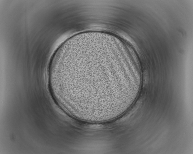 X0000113021467200909241625