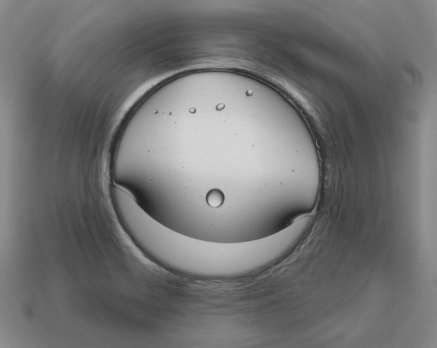 X0000113021468200909241625