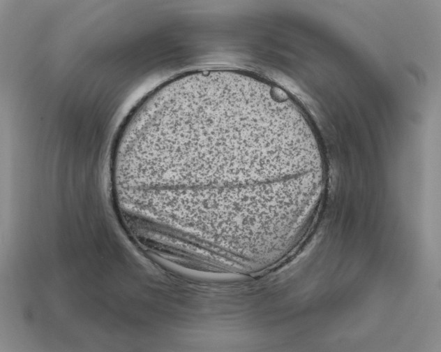 X0000113021469200909241625