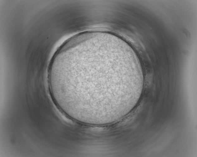 X0000113021470200909241625