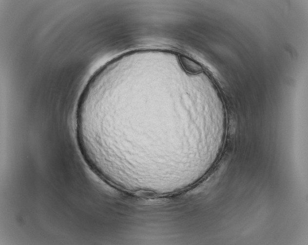 X0000113021471200909241625