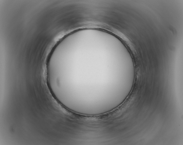 X0000113021472200909241625