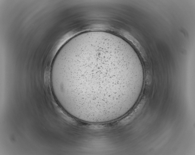 X0000113021473200909241625