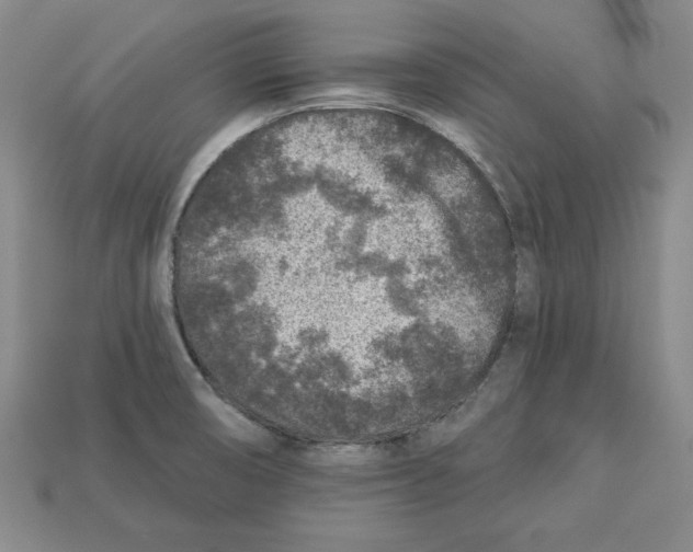 X0000113021474200909241625