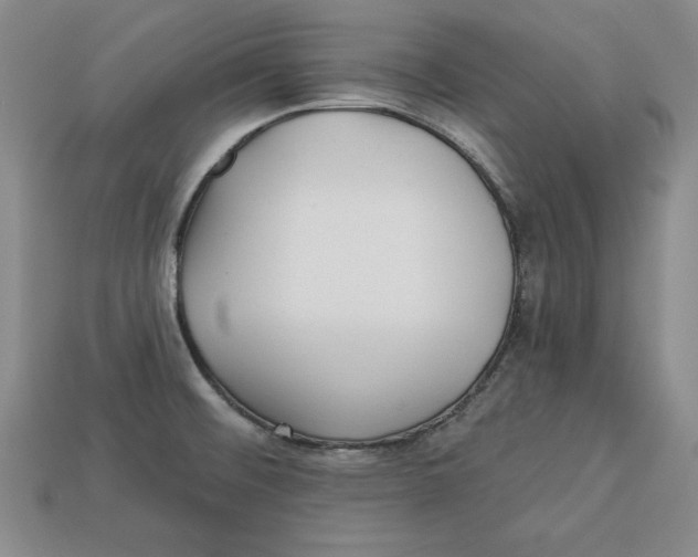 X0000113021476200909241625