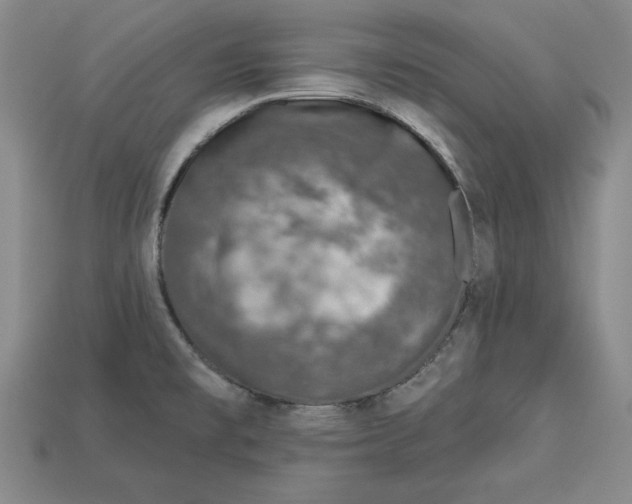 X0000113021477200909241625