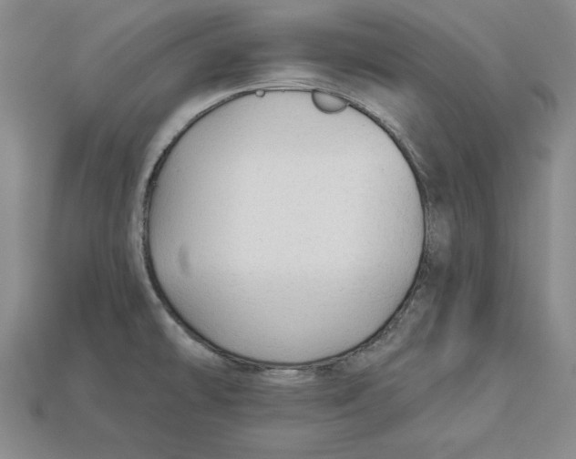 X0000113021478200909241625