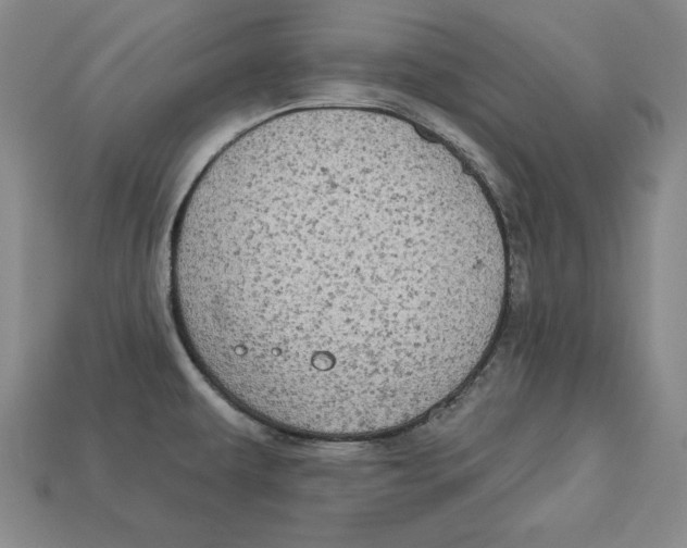 X0000113021479200909241625