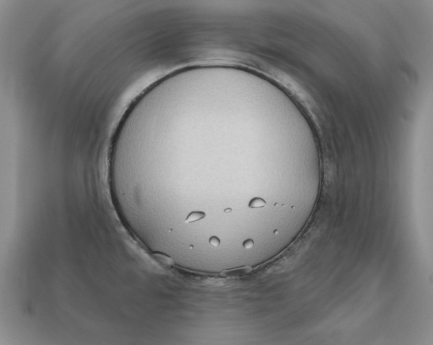 X0000113021480200909241625