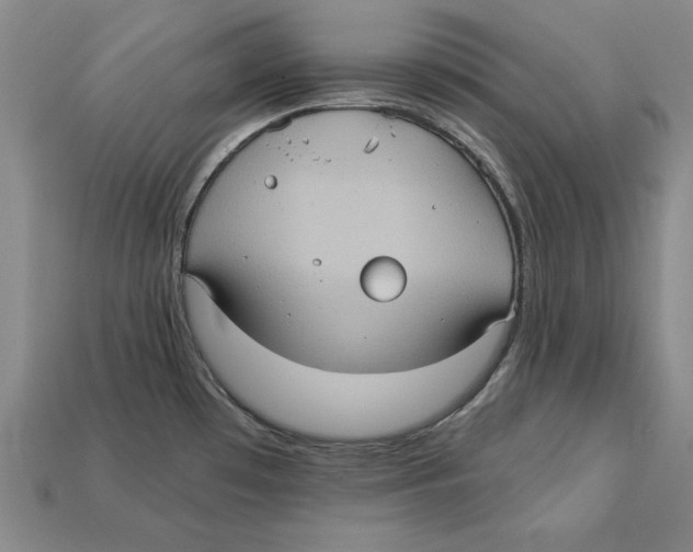 X0000113021481200909241625