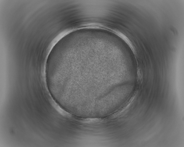 X0000113021482200909241625