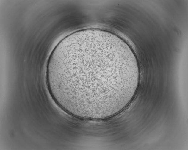 X0000113021483200909241625