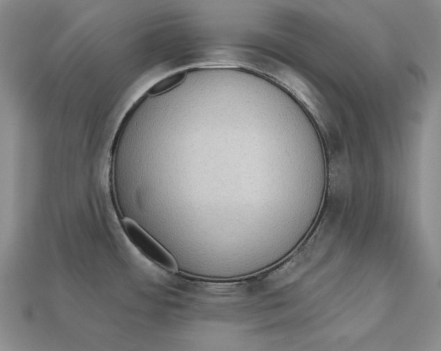 X0000113021484200909241625