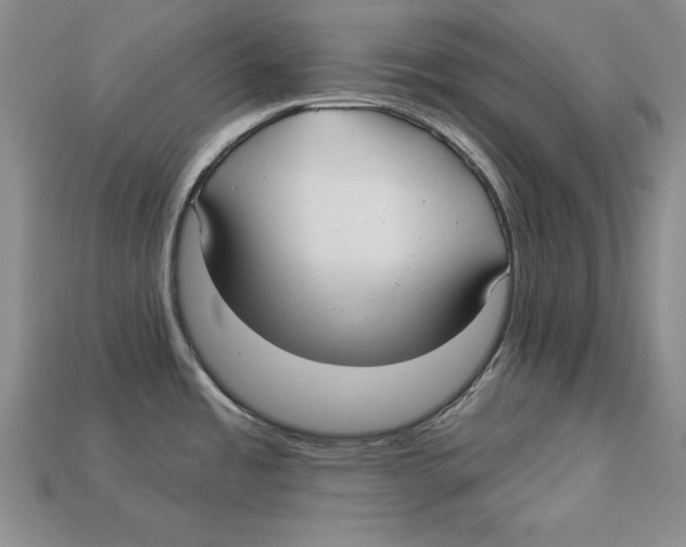 X0000113021485200909241625