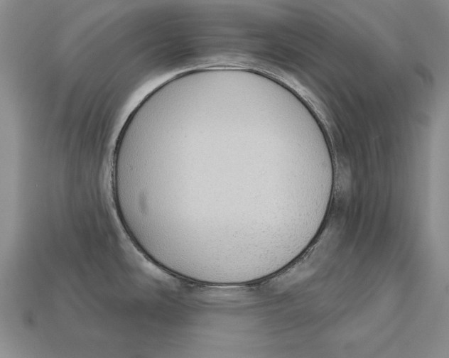 X0000113021486200909241625