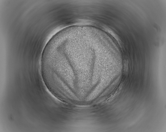 X0000113021487200909241625