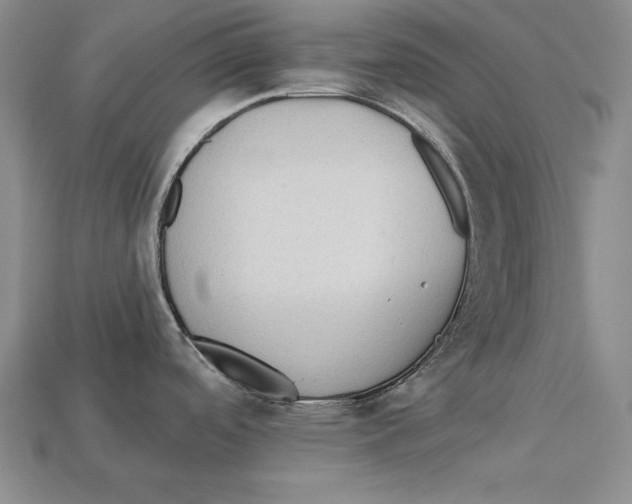 X0000113021488200909241625