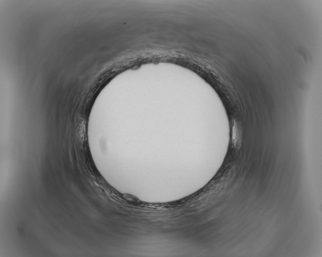 X0000113021492200909241624